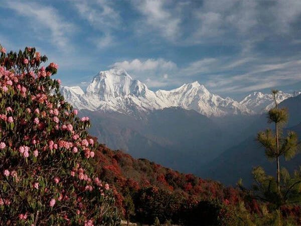 Annapurna Dhaulagiri Trekking