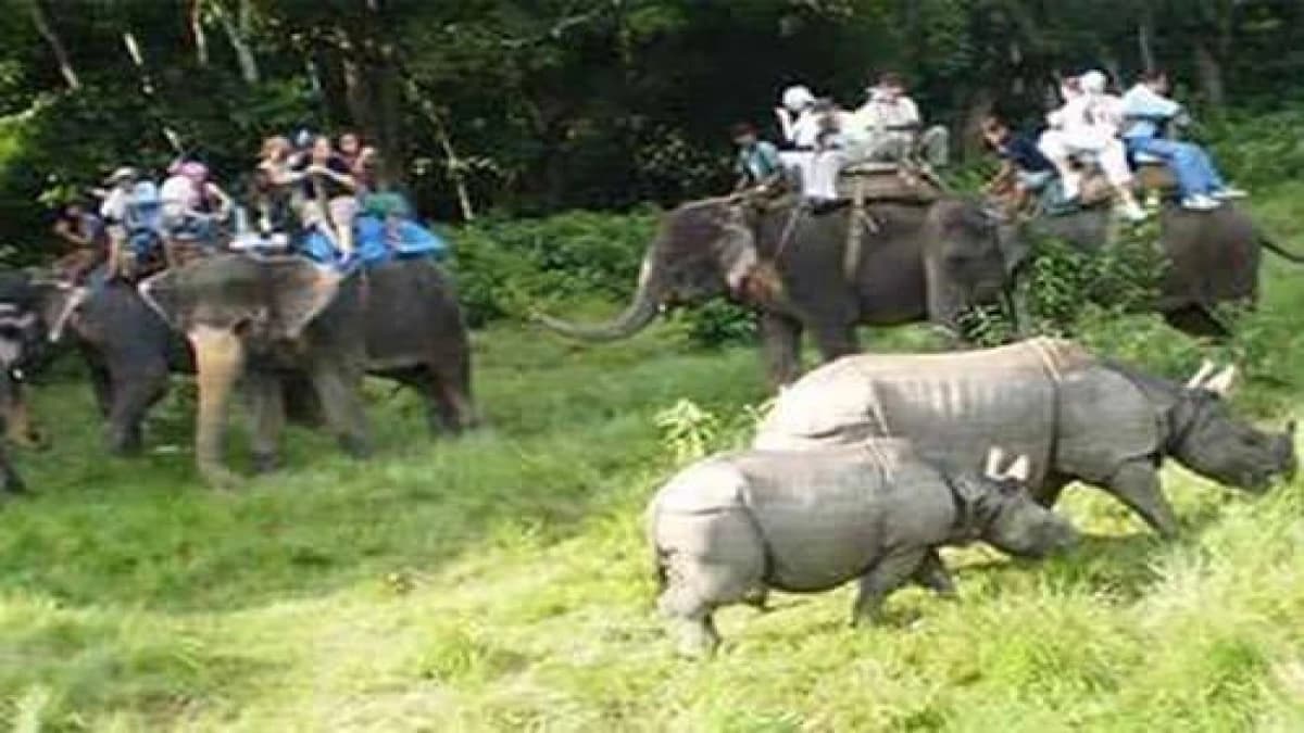 Chitwan Jungle safari