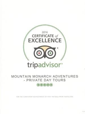 Trekking Company Trip Advisor