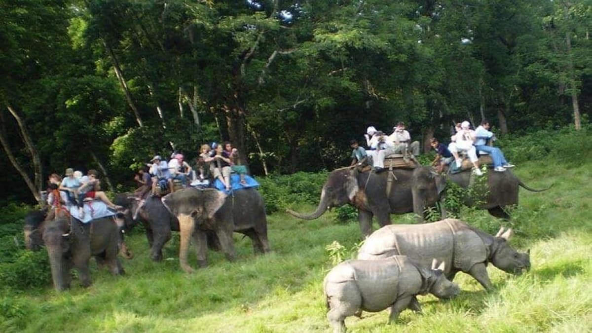 Chitwan Everest Adventure