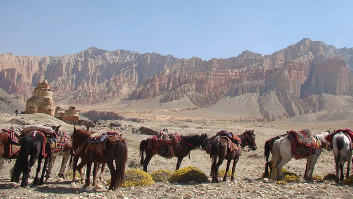 Upper Mustang Trek