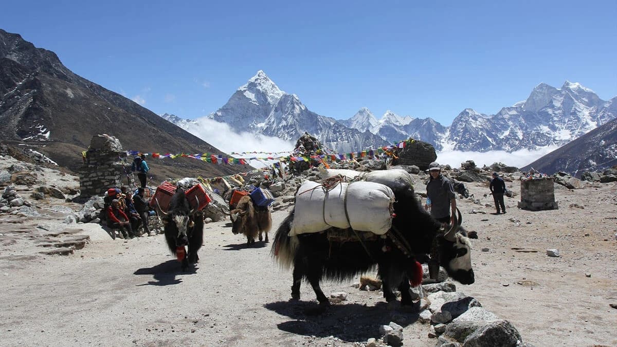 top hiking trails in Nepal