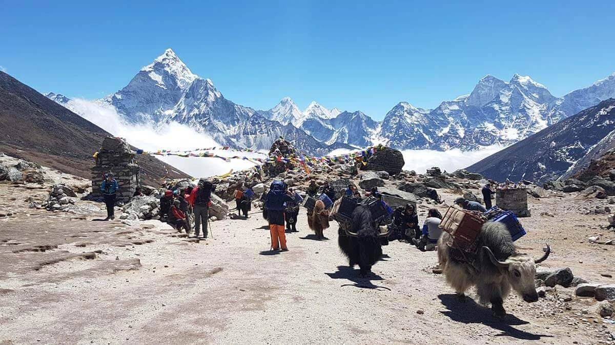Trek to Everest base camp