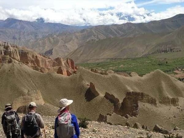 Mustang Trek
