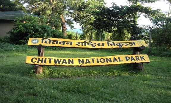 Chitwan national park in nepal